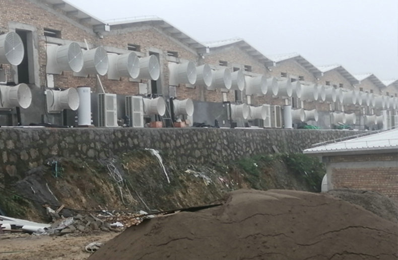 贵州开阳养猪场供暖项目