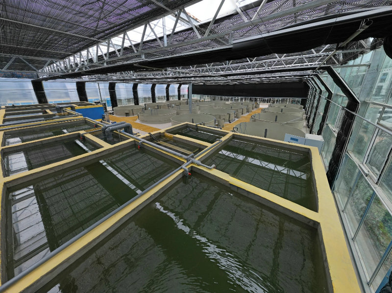 鱼池恒温空气能热水工程解决方案